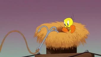 Grappling Hook